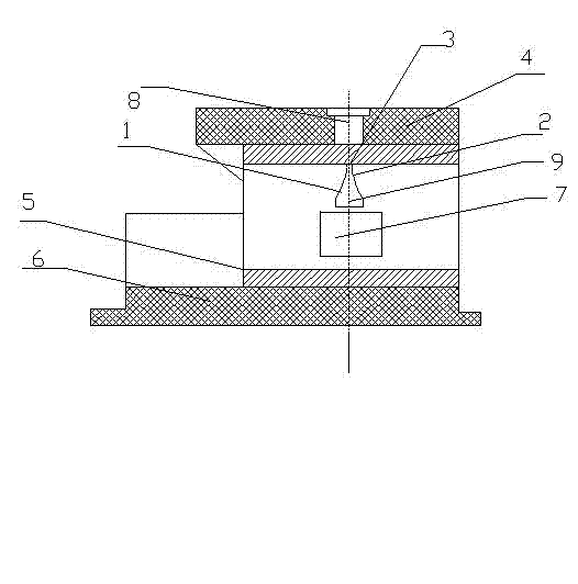 Plug used for shaping of branch pipe of super pipeline and process for shaping branch pipe of pipeline by using the same