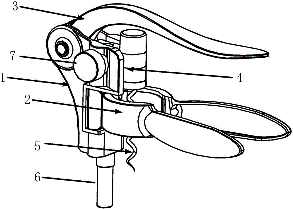 Corkscrew guiding structure and corkscrew