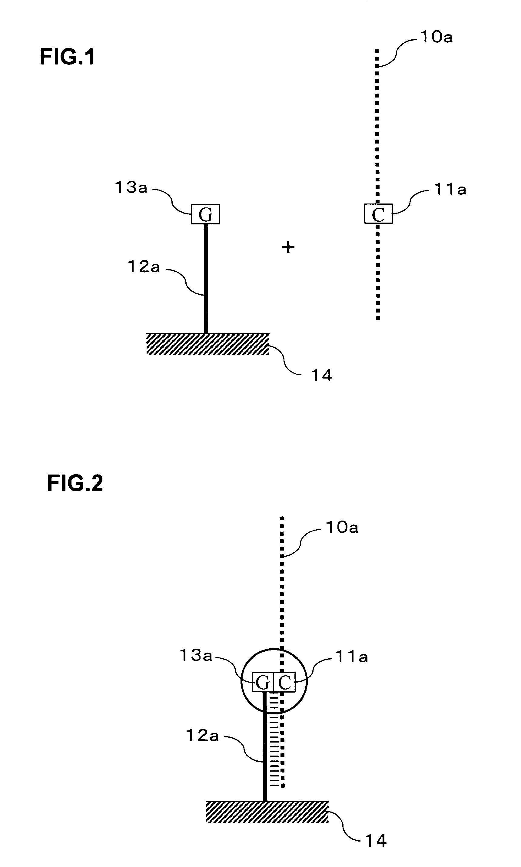 Signal amplification method for detecting mutated gene
