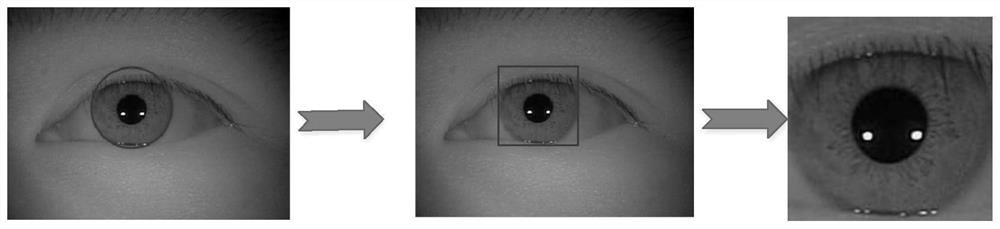 Iris verification method and system based on iris circumscribed rectangular graph