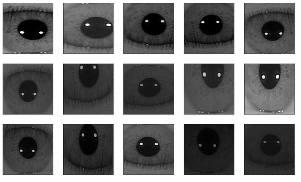 Iris verification method and system based on iris circumscribed rectangular graph