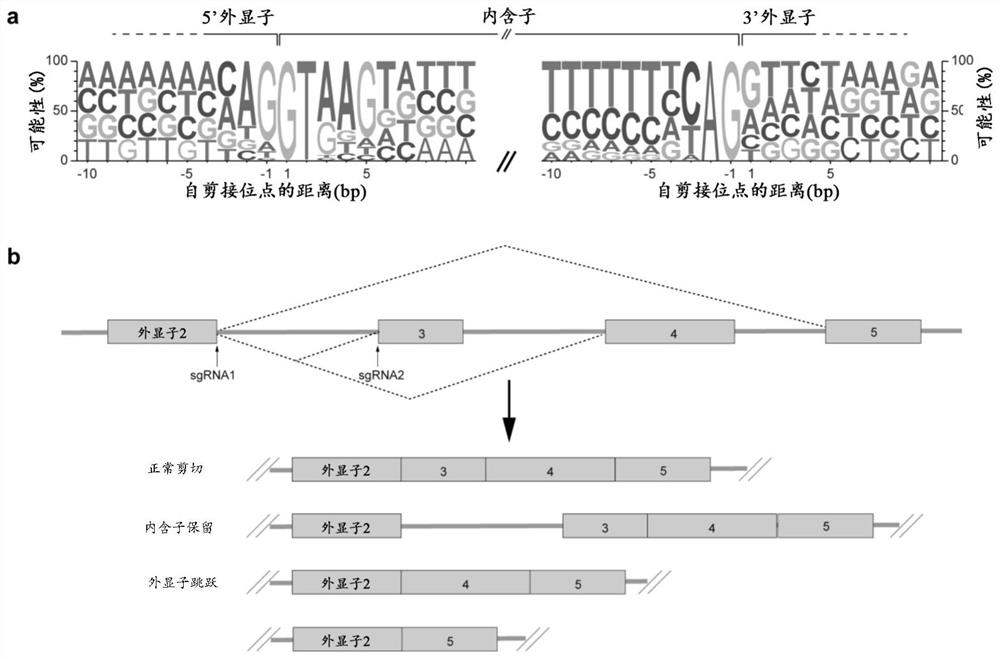 Method for Screening and Identifying Functional lncRNAs