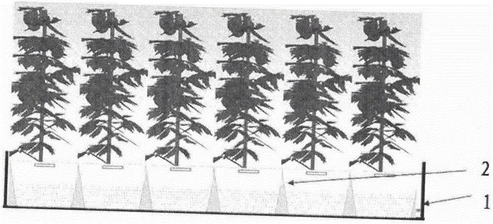 Environment-friendly bag and device combined culture method