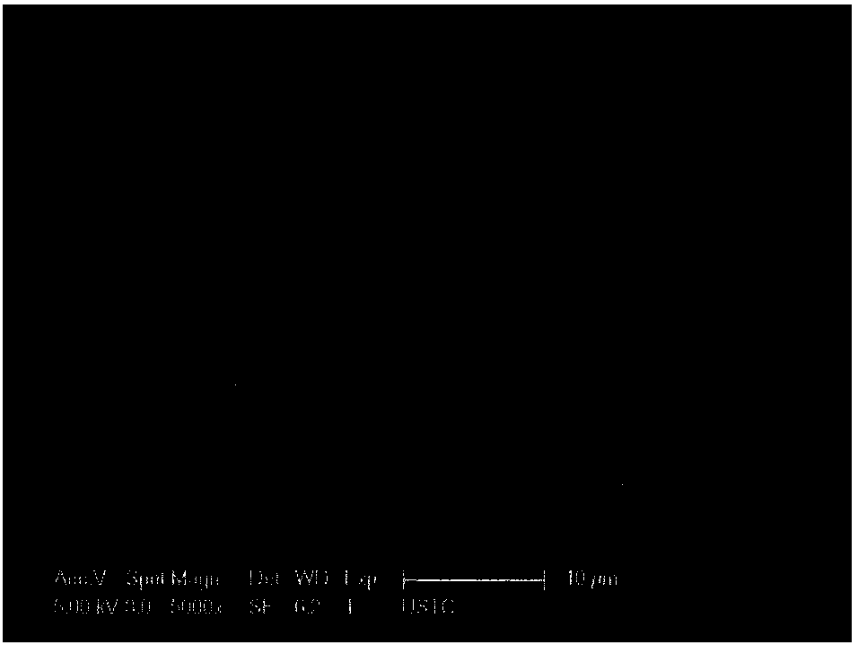 A method for preparing superabsorbent resin with biological enzyme as catalytic initiator