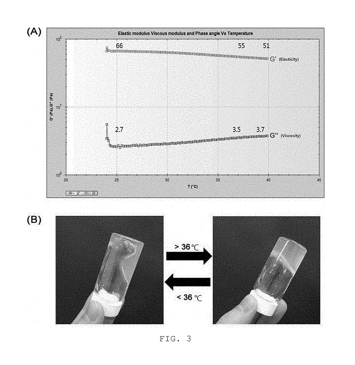 Temperature sensitive hydrogel composition including nucleic acid and chitosan