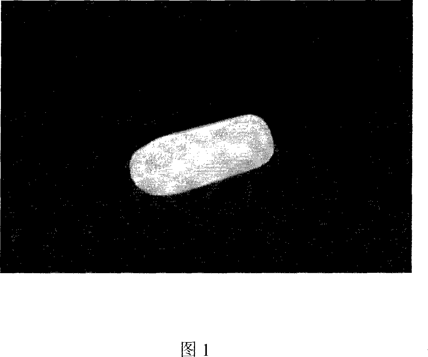 Gas production enterobacteria and uses thereof