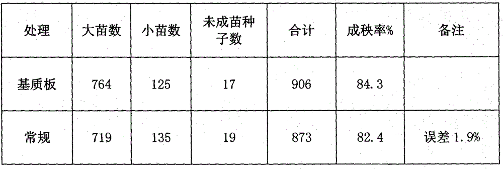 Soilless rice nursery straw substrate and preparation method thereof