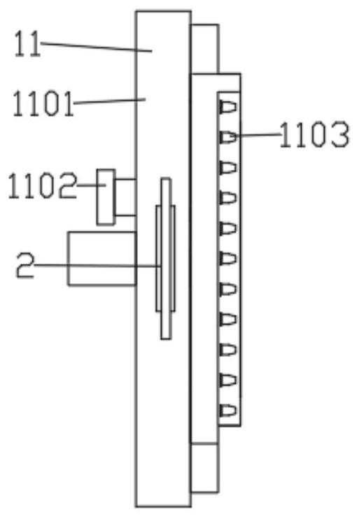 Choledochoscope protection device