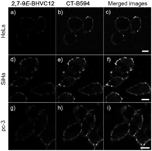 A probe capable of clearly distinguishing and simultaneously imaging cell membrane lipid raft and non-lipid raft microdomains with two fluorescent colors and its application