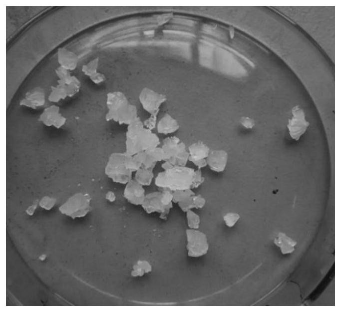 A method for preparing high-purity N-acetylneuraminic acid hydrate by ...