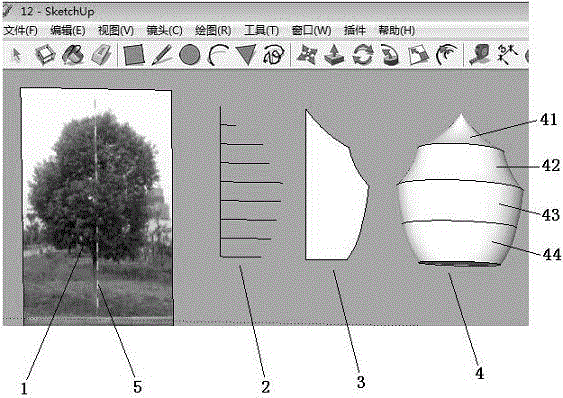 A simple three-dimensional visualization model of camphor tree crown and its model evaluation method