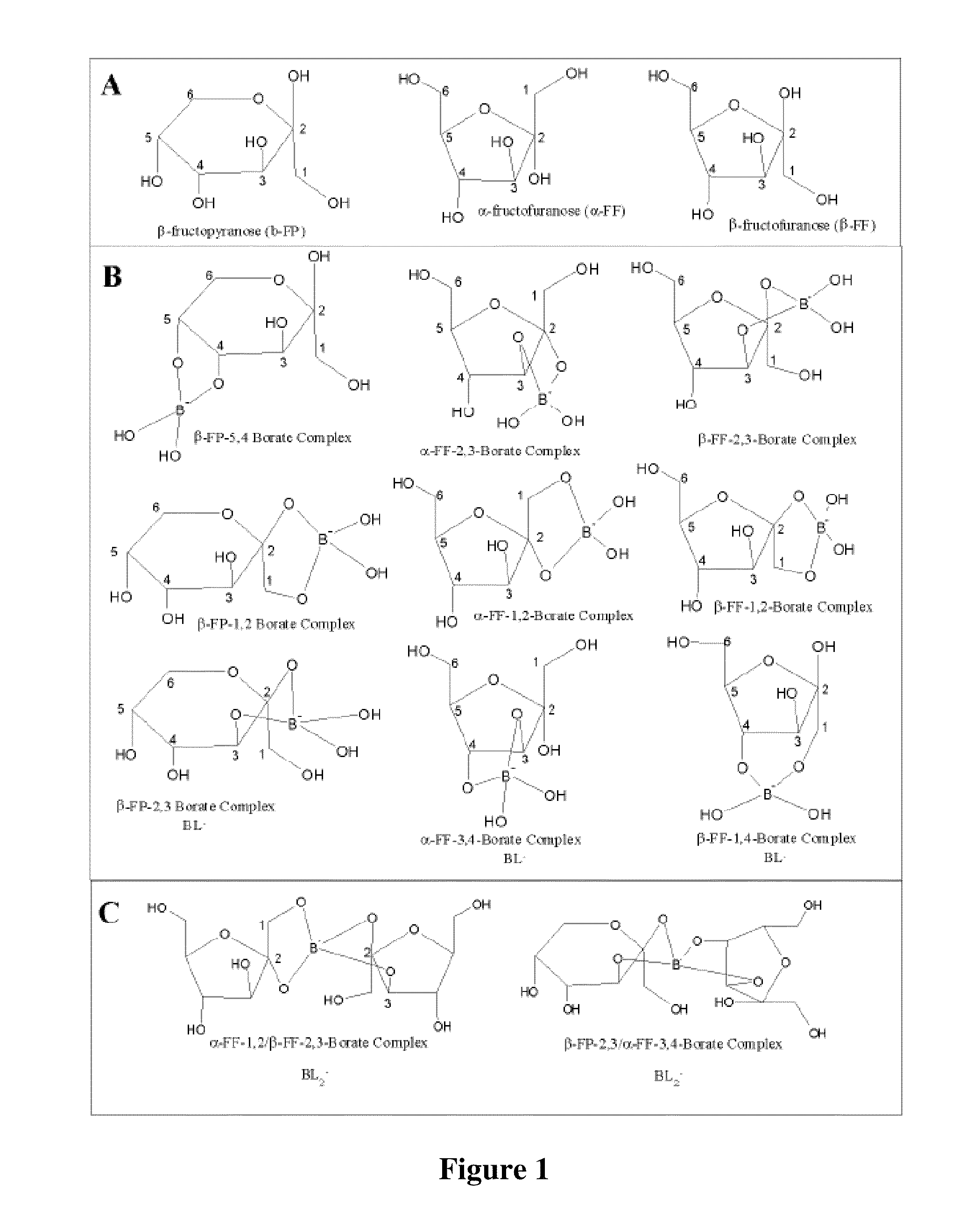 Compositions and methods for borocarbohydrate complexes