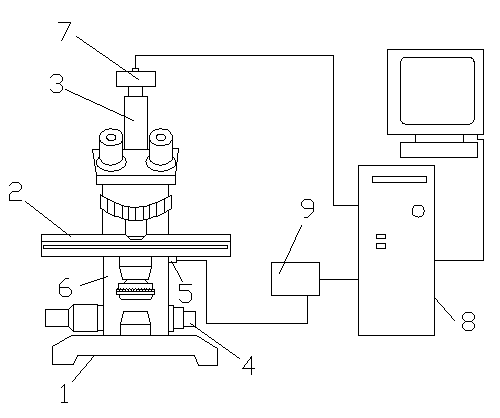 Automatic digital slide focusing device and method based on microscope