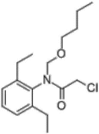 Weeding composition containing benzobicyclon and butachlor, and applications thereof