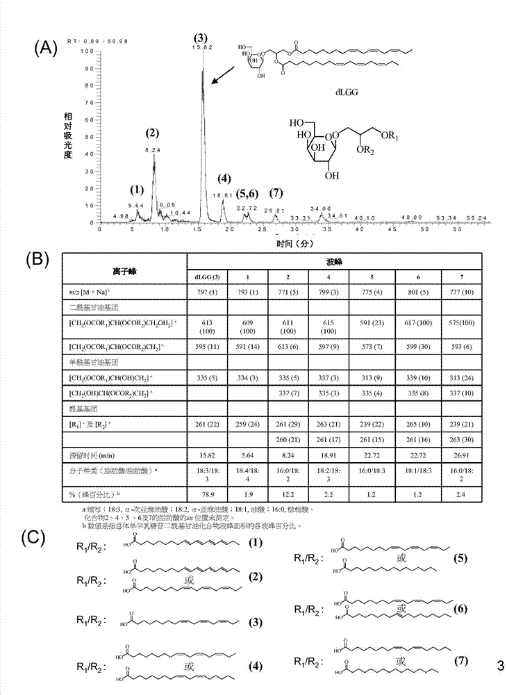 Galactolipids-enriched plant extracts and the uses thereof