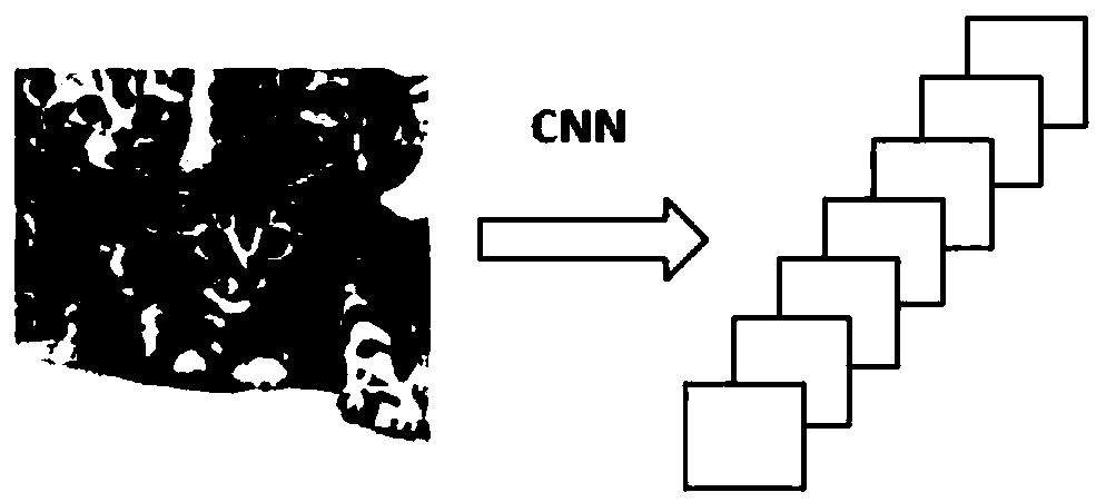 An image abstract generation method based on object detection