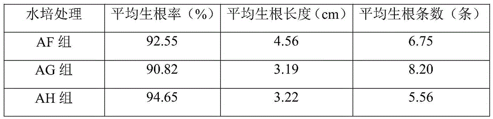 Processing method for anti-long-distance transportation of eucalyptus robusta Smith tissue culture seedlings