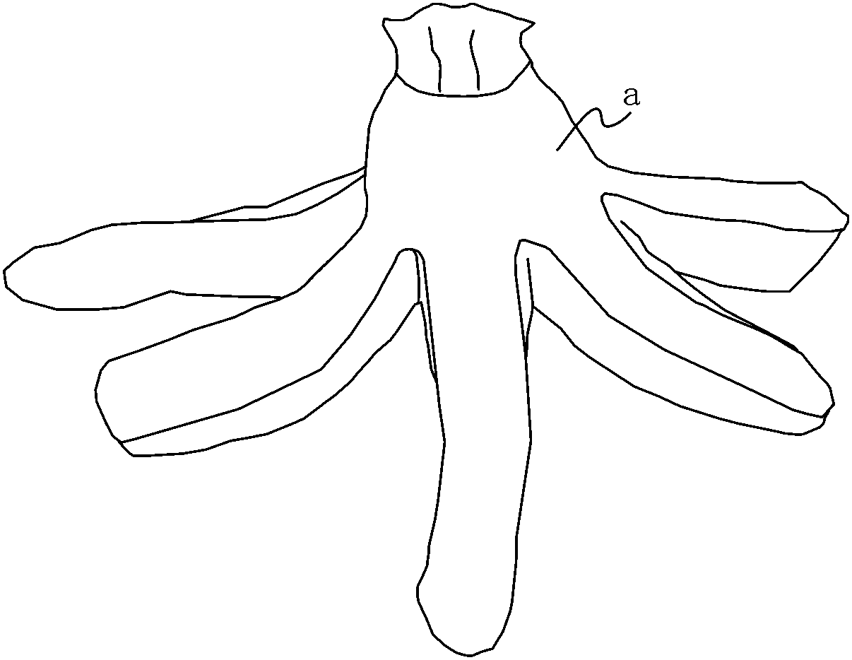 A short sausage cut flower structure