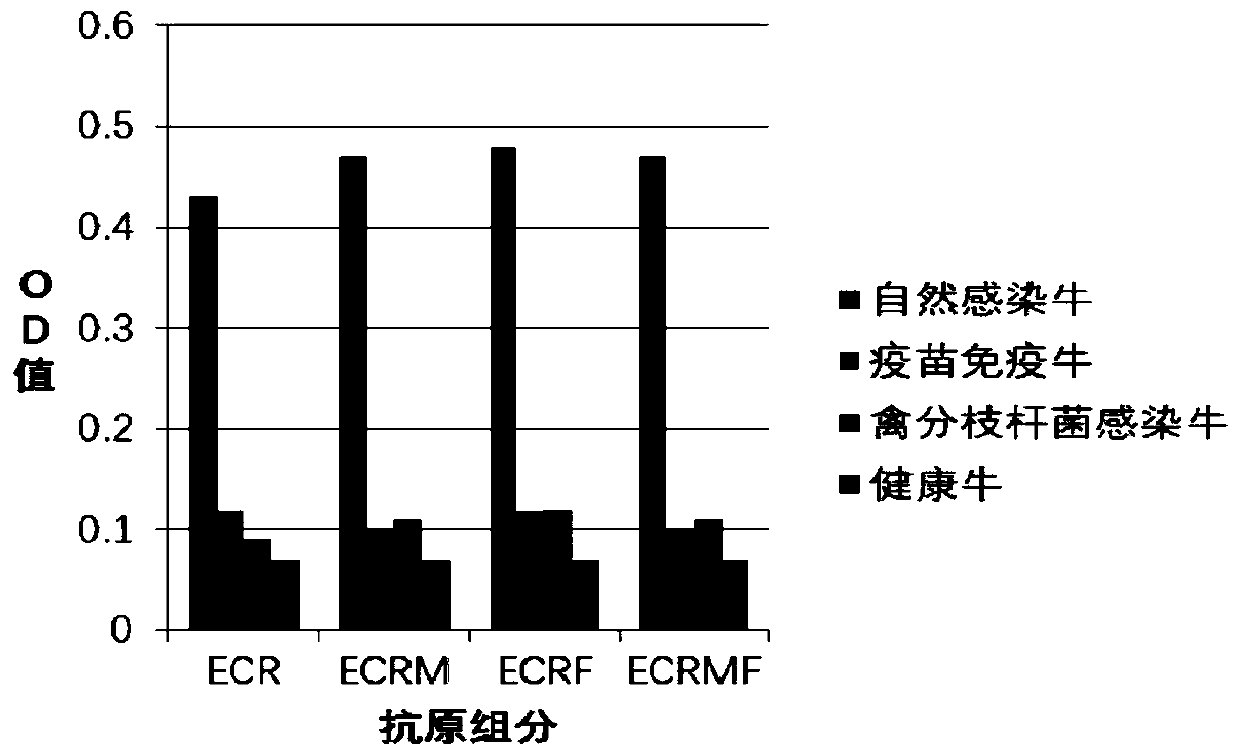 Blood sampler for preparing bovine tuberculosis stimulation supernatant