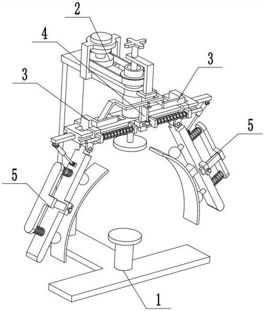 A kind of fruit peeling device