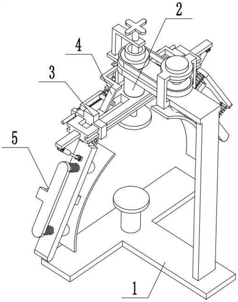 A kind of fruit peeling device