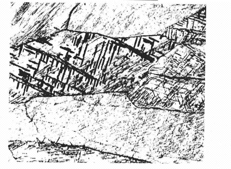 Specimen preparation and organization exposure method of metallic phase of zinc and alloy thereof