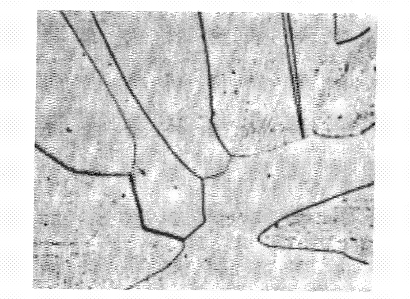 Specimen preparation and organization exposure method of metallic phase of zinc and alloy thereof