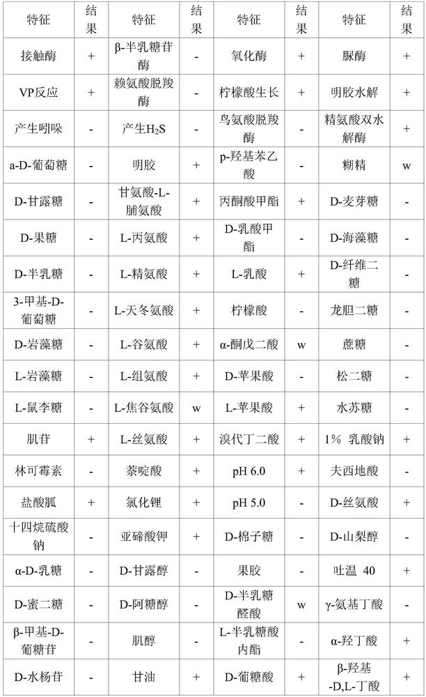 A kind of composite bacterial agent of Bacillus lysinus and Bacillus subtilis and preparation method thereof