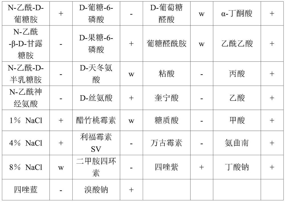 A kind of composite bacterial agent of Bacillus lysinus and Bacillus subtilis and preparation method thereof