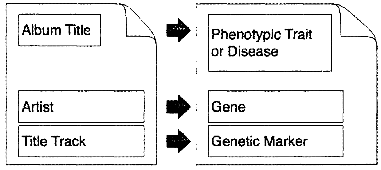 Organization, visualization and utilization of genomic data on electronic devices
