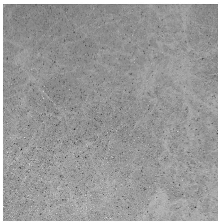 A kind of whole body effect dry grain inkjet imitation stone brick and its preparation method