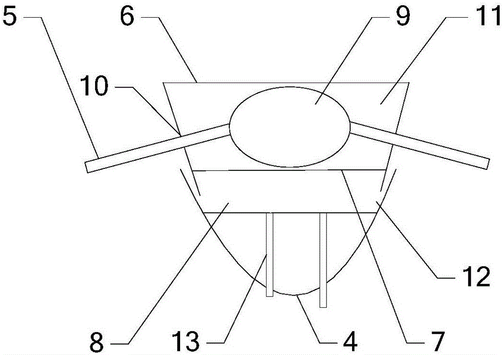 Method for planting bananas in drought-resisting slope