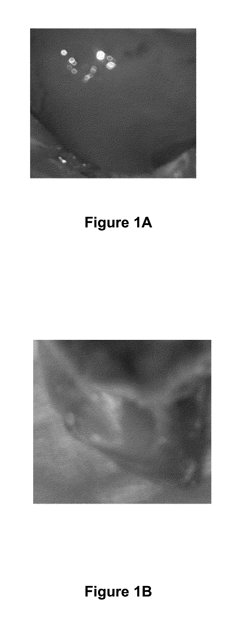 Materials and Methods for Rescue of Ischemic Tissue and Regeneration of Tissue Integrity During Resection, Engraftment and Transplantation