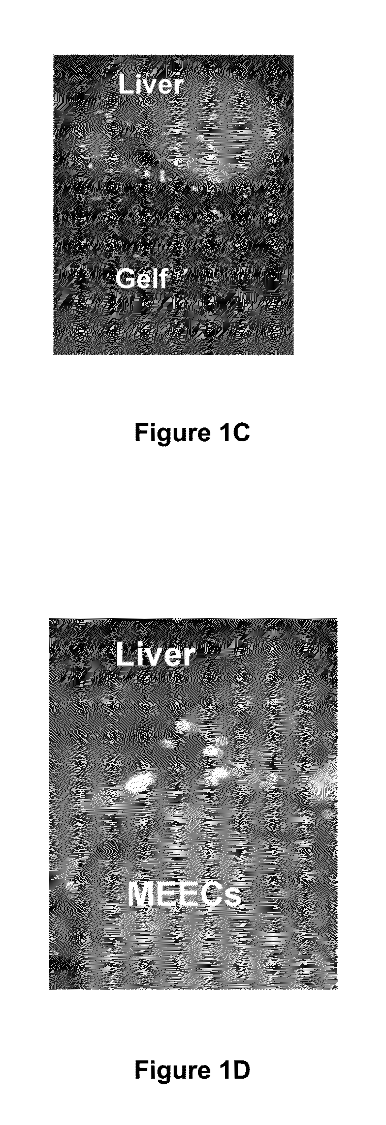 Materials and Methods for Rescue of Ischemic Tissue and Regeneration of Tissue Integrity During Resection, Engraftment and Transplantation