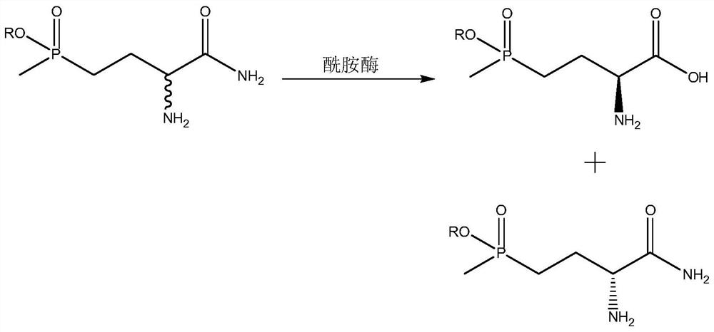 A kind of method for the preparation of l-glufosinate-ammonium by deracemization of biological enzymatic method