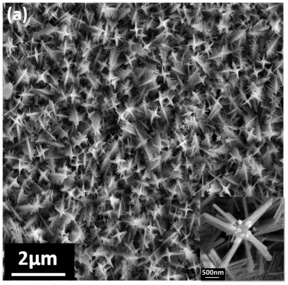 Manganese dioxide dendritic nano array electrode material and preparation method