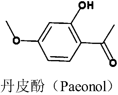 Compound ketoconazole cream and preparation method thereof