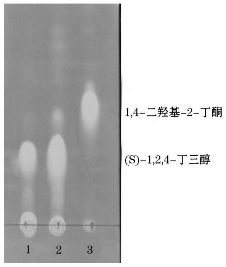 A method for enzymatically synthesizing (s)-1,2,4-butanetriol