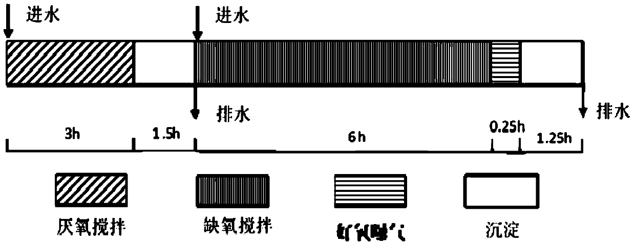 A device and method for enriching nitrite-denitrifying polysaccharide bacteria