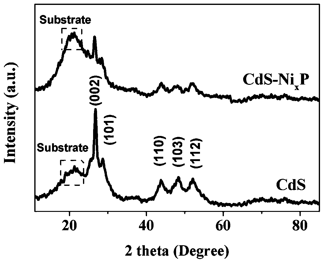 Preparation method of nickel phosphide cocatalyst by photodeposition on cadmium sulfide