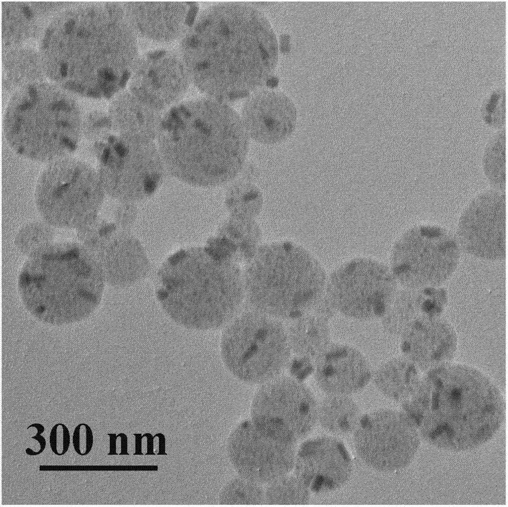 Multifunctional nano composite ball and application of nano composite ball to detection and separation of TNT (Trinitrotoluene)