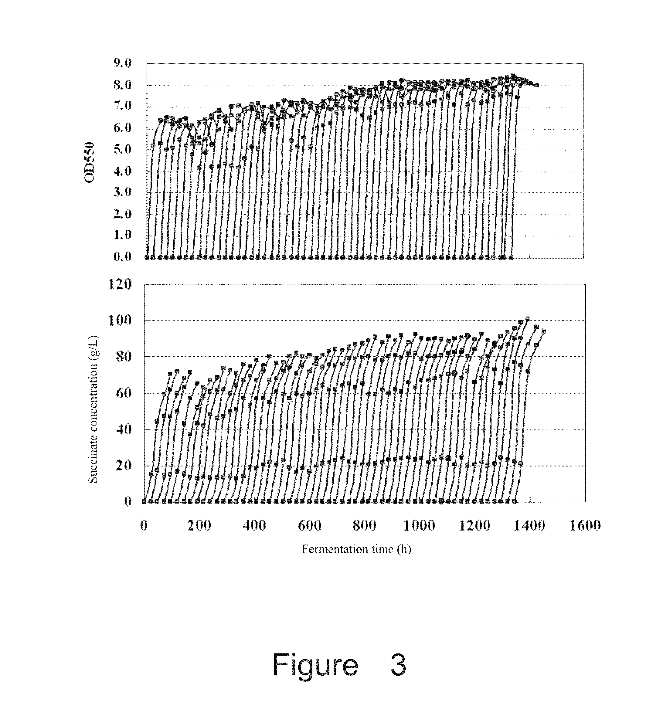 Recombinant escherichia coli for producing succinic acid and application thereof