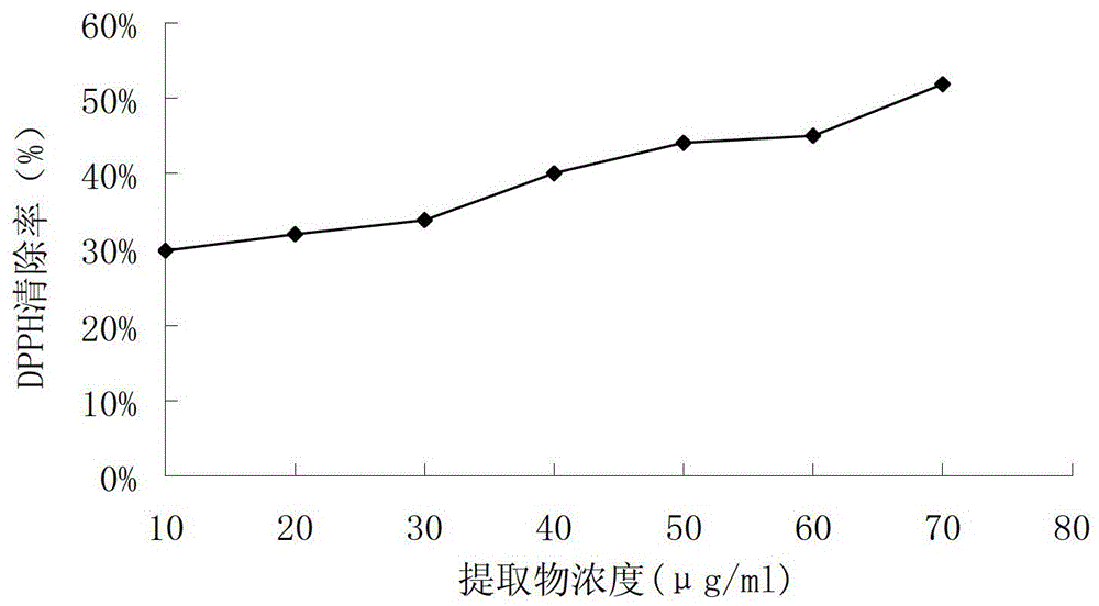 Matsutake extract with anti-aging, moisturizing and penetration-promoting effects, preparation method and application thereof