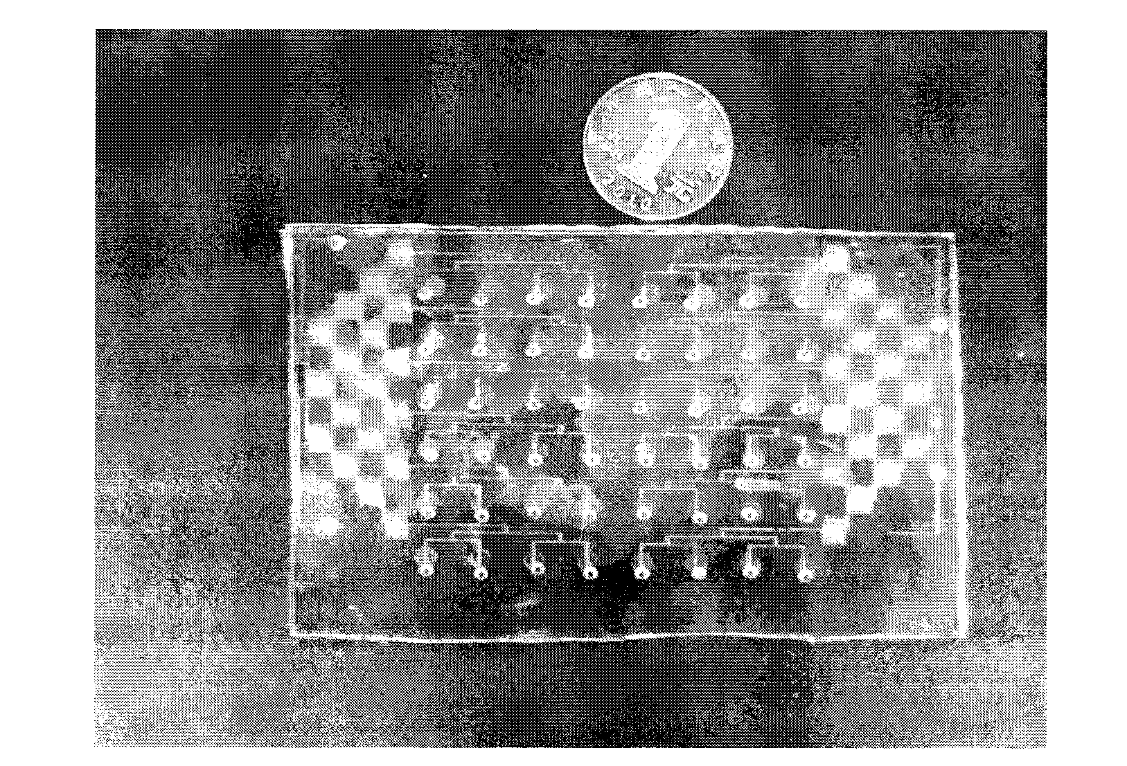 Integration micro-fluidic chip for immune analysis research and applications thereof