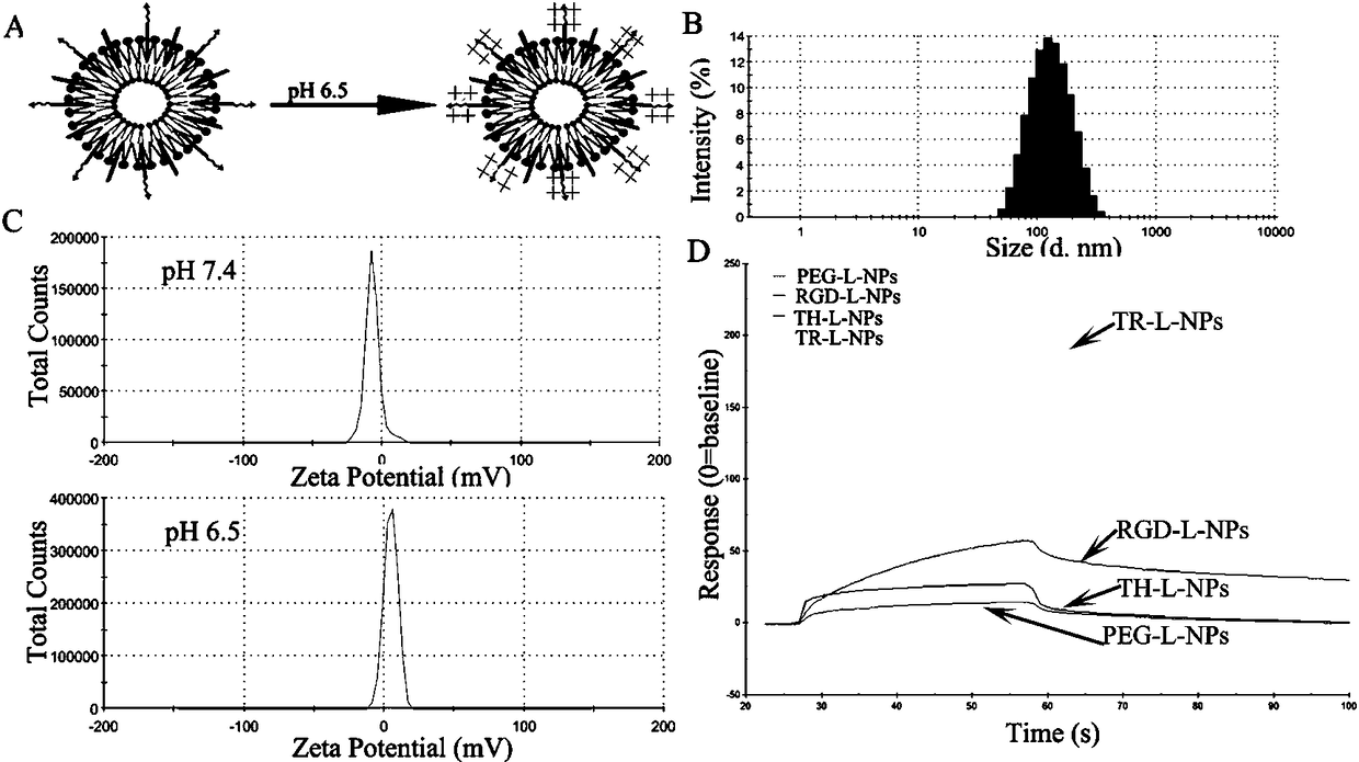 A novel peptide with active tumor targeting and pH-sensitive cell membrane penetration