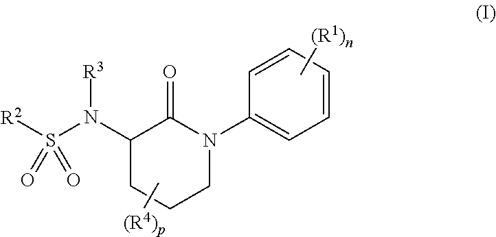 Libraries of n-(2-oxo-1-phenylpiperidin-3-yl)sulfonamides for the identification of biological and pharmacological activity