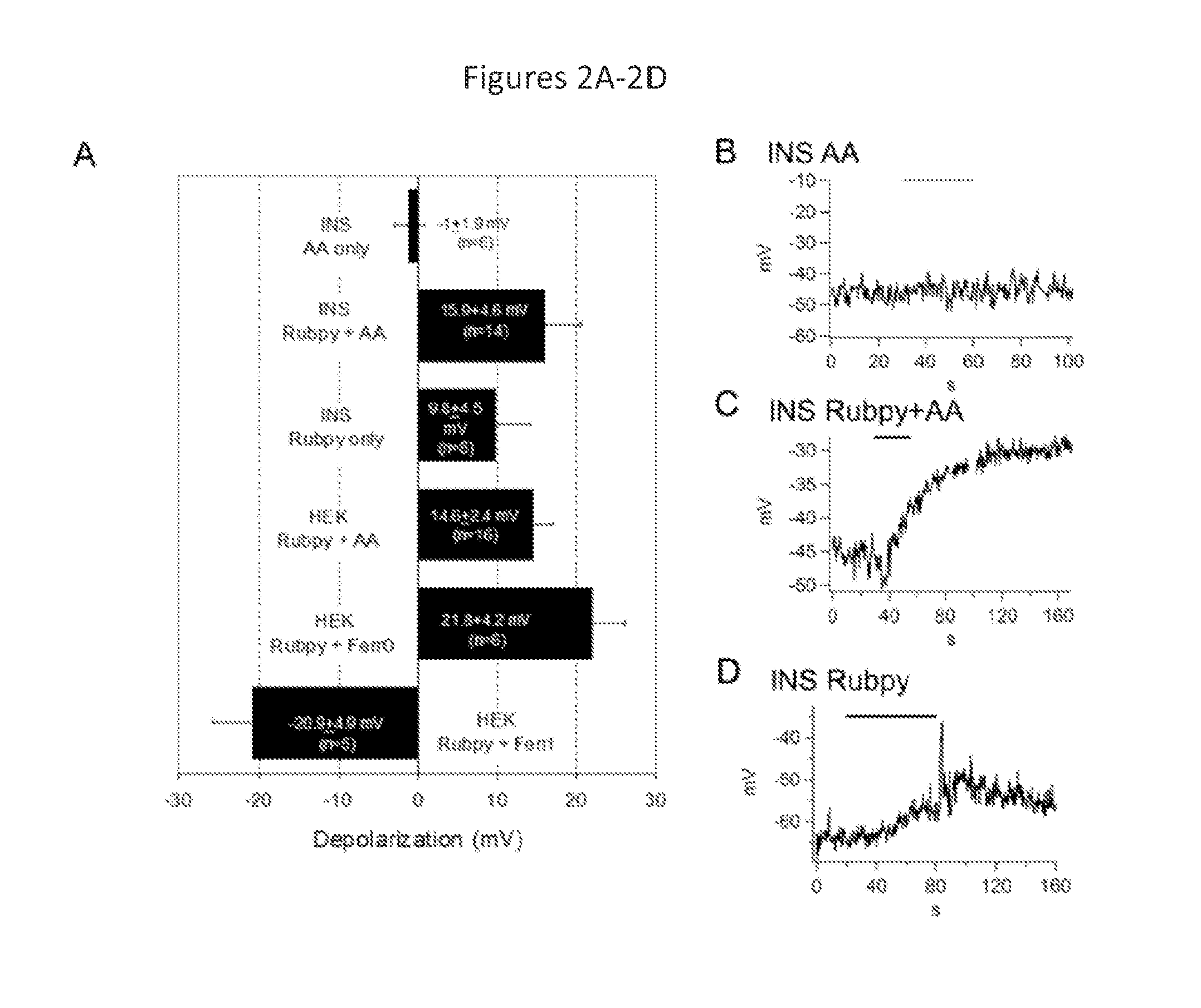 Photoactivated molecules for light-induced modulation of the activity of electrically excitable cells and methods of using same