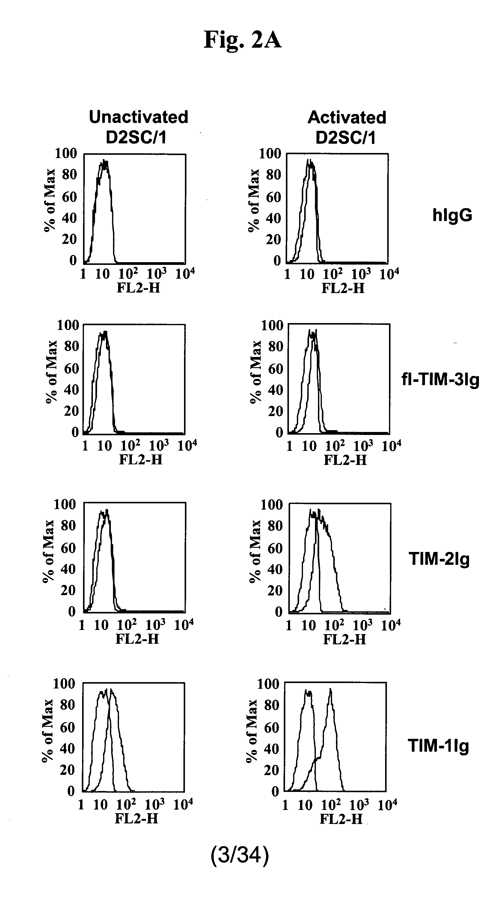 Methods of modulating immune responses by modulating tim-1, tim-2 and tim-4 function
