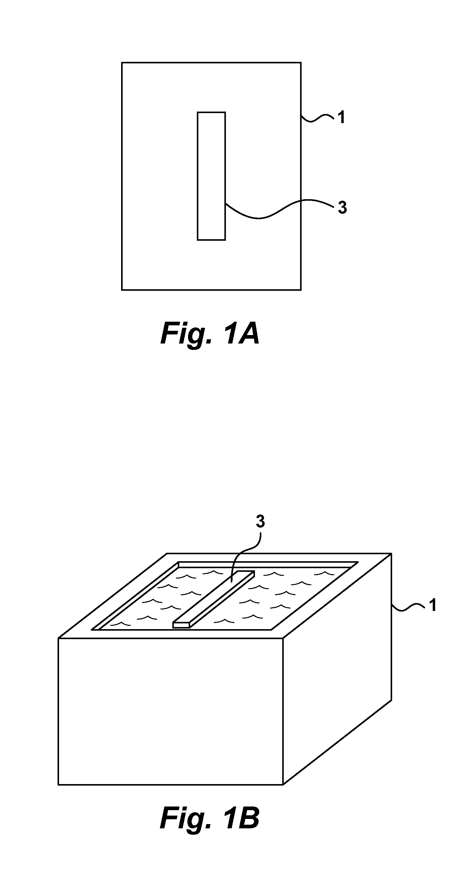 Algae reactor