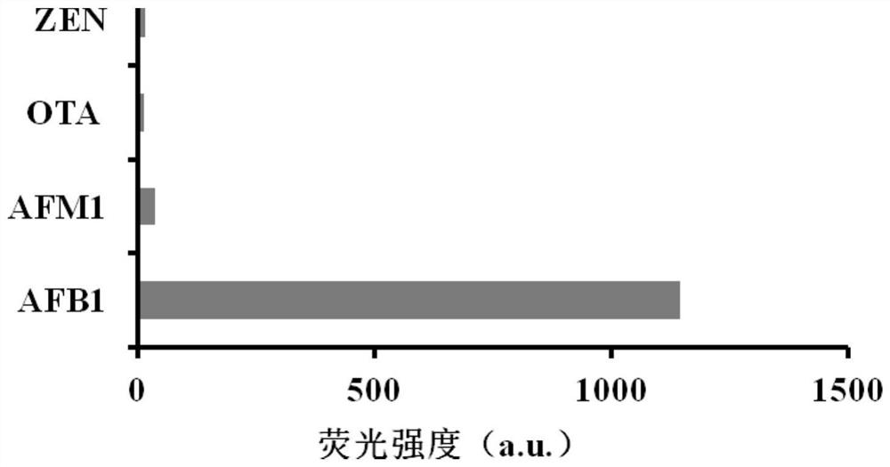 Kit for detecting aflatoxin B1 and method for detecting aflatoxin B1